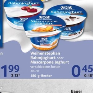 Joghurt bei Selgros