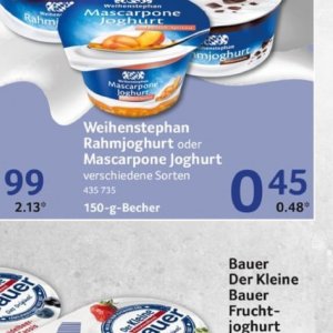 Joghurt bei Selgros