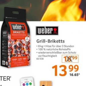 Grill briketts bei Selgros