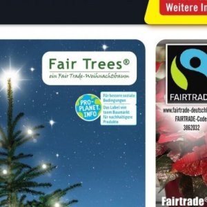   bei B1 Discount