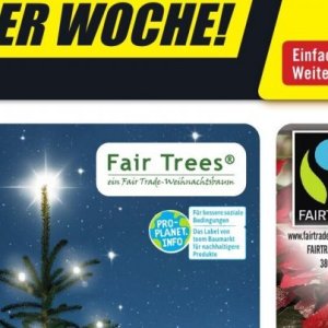 Weihnachtsbaum bei B1 Discount