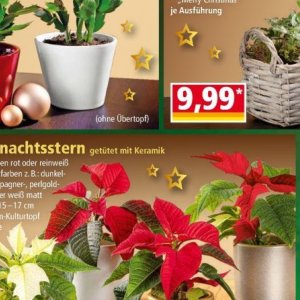 Keramik bei Norma