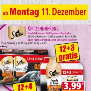 Ente bei Norma