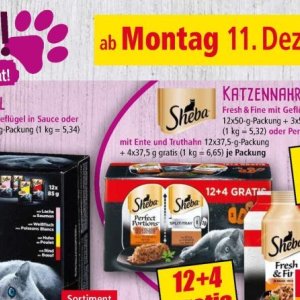 Ente bei Norma