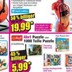 Spielzeug bei Norma