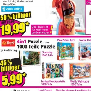 Spielzeug bei Norma
