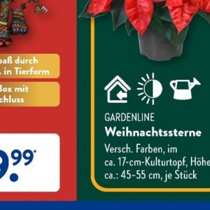 Gartengarnituren bei Aldi SÜD