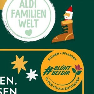 Pflanzen bei Aldi SÜD