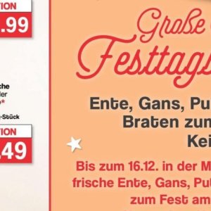 Ente bei Famila Nord West