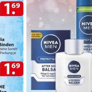 Aloe bei Famila Nord Ost