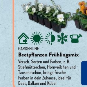 Gartengarnituren bei Aldi SÜD