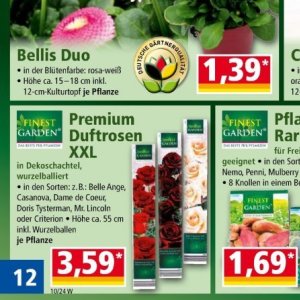 Pflanzen bei Norma