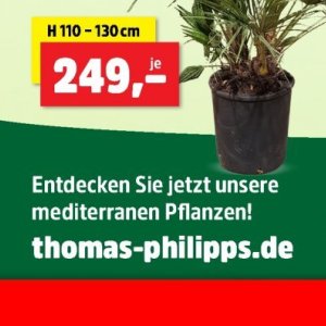 Pflanzen bei Thomas Philipps