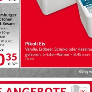 Eis bei Selgros