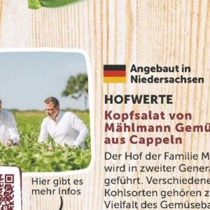 Kopfsalat bei Famila Nord West
