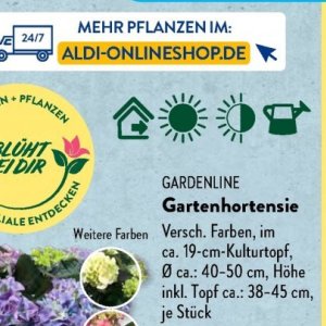 Gartengarnituren bei Aldi SÜD