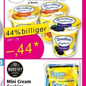 Joghurt bei Norma