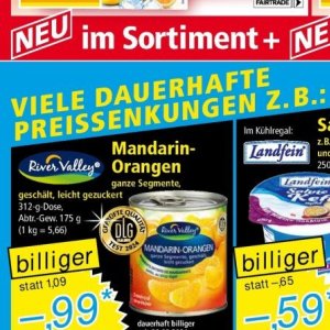Orangen bei Norma