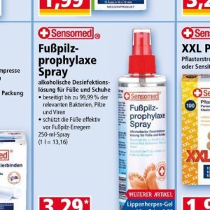Pilze bei Norma