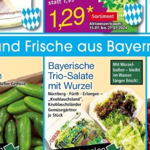 Salate bei Norma