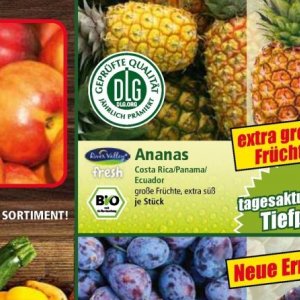 Ananas bei Norma