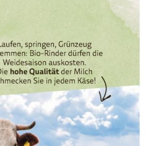 Milch bei BioMarkt