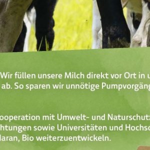 Milch bei BioMarkt