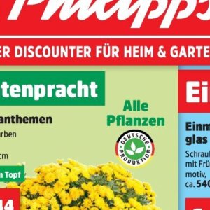 Pflanzen bei Thomas Philipps