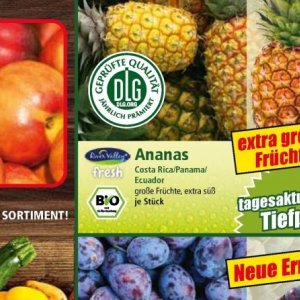 Ananas bei Norma