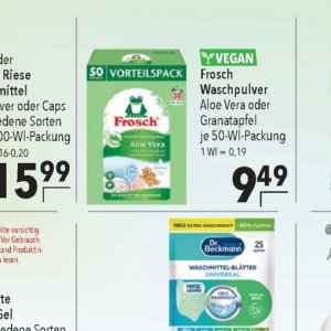 Aloe bei Citti Markt