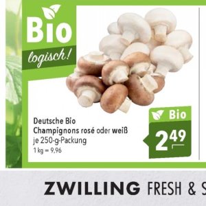 Champignons bei Citti Markt