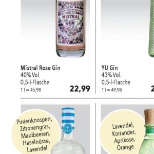 Gin bei Citti Markt