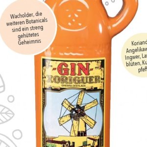 Gin bei Citti Markt