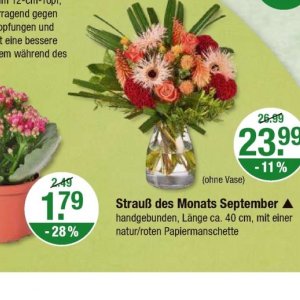 Strauß bei V-Markt