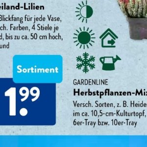 Gartengarnituren bei Aldi SÜD