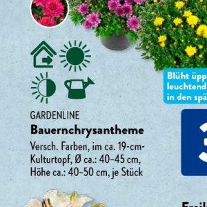 Gartengarnituren bei Aldi SÜD