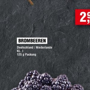 Brombeeren bei Handelshof