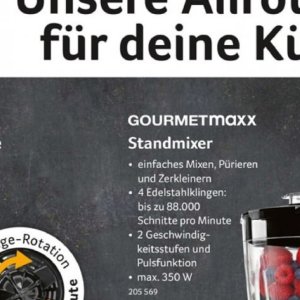 Standmixer bei Selgros