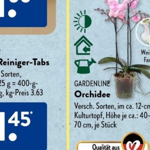 Gartengarnituren bei Aldi SÜD