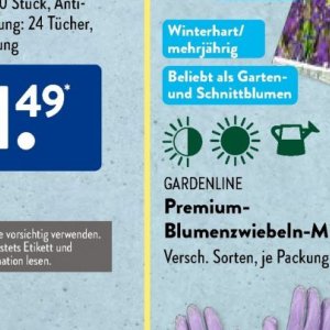 Gartengarnituren bei Aldi SÜD