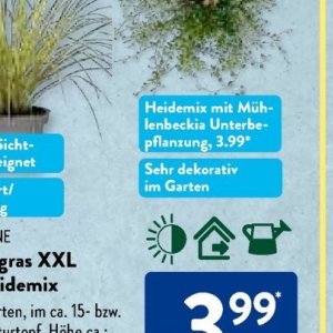 Garten bei Aldi SÜD