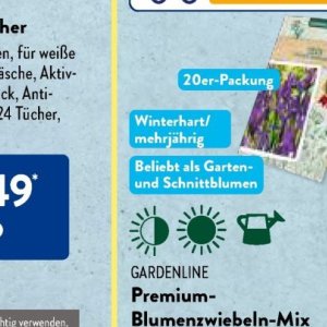 Schnittblumen bei Aldi SÜD