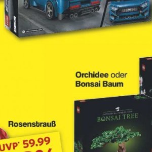 Bonsai bei Famila Nord West