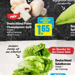 Champignons bei Hit