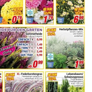 Garten bei Centershop