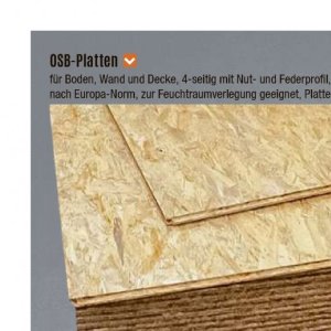 Osb-platten bei V-Baumarkt