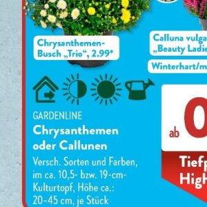 Gartengarnituren bei Aldi SÜD