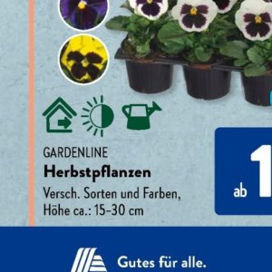 Gartengarnituren bei Aldi SÜD