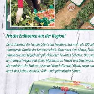 Erdbeeren bei Famila Nord Ost