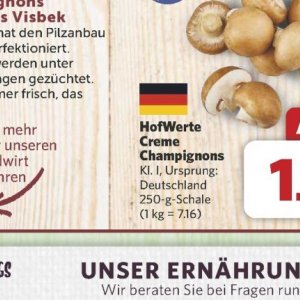 Champignons bei Combi